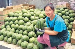 今日吃瓜网3秒挑出“梦中情瓜” “验瓜师”火了你“吃瓜”了吗？
