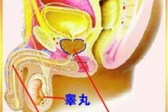 看身体私密部分看什么科,揭秘身体私密部位所暗示的科室秘密